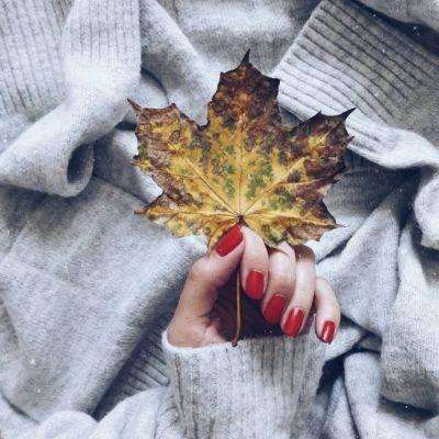 皇冠·app手机app下载截图