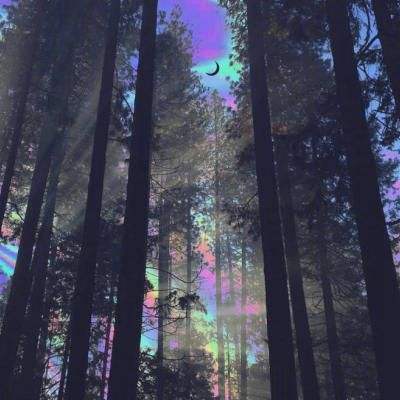 B体育官方网站下载