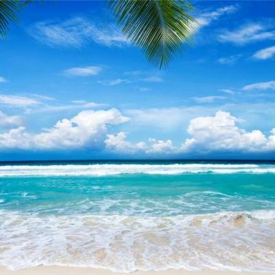 购彩中心手机app下载