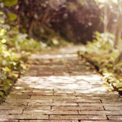 万博·ManBetX手机手机app下载