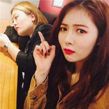 华体会登录手机版app下载